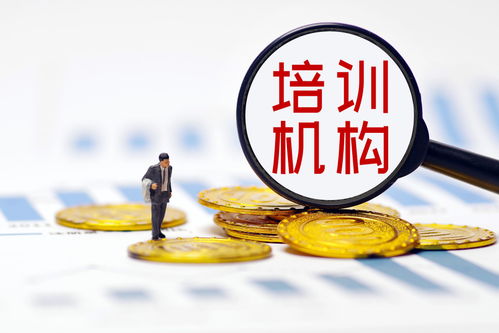 雙減政策落地重塑行業(yè)生態(tài)，培訓(xùn)機(jī)構(gòu)探尋轉(zhuǎn)型之路——多家A股上市公司發(fā)文回應(yīng)，公共就業(yè)服務(wù)或迎新機(jī)遇